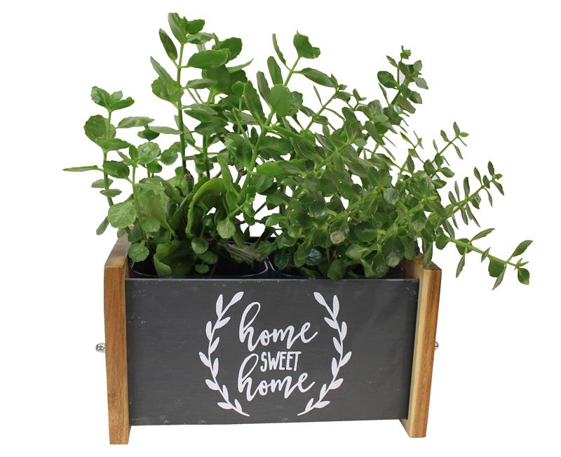 Pflanztopf aus Schiefer mit Holz - HOME SWEET HOME  Pflanztopf aus Schiefer mit Holz - HOME SWEET HOME