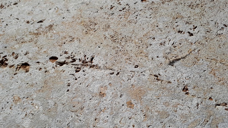 Muschelkalk Formatplatten - sandgestrahlt, Stärke 3 cm, 60 x 40 cm 