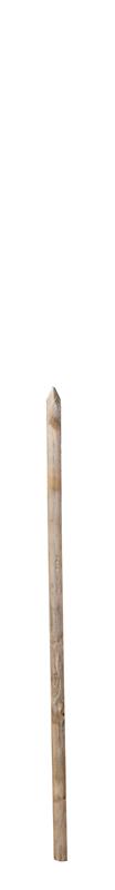 Baumpfähle Fi / Kiefer rundgefräst, 162, D6 cm, Länge 2,00 m Baumpfähle Fi / Kiefer rundgefräst, 162, D6 cm, Länge 2,00 m